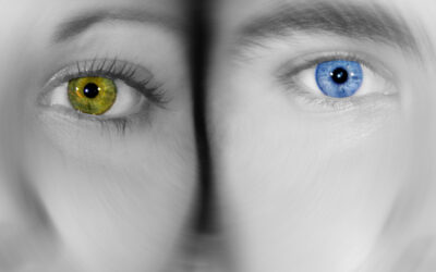 Governing The New Year