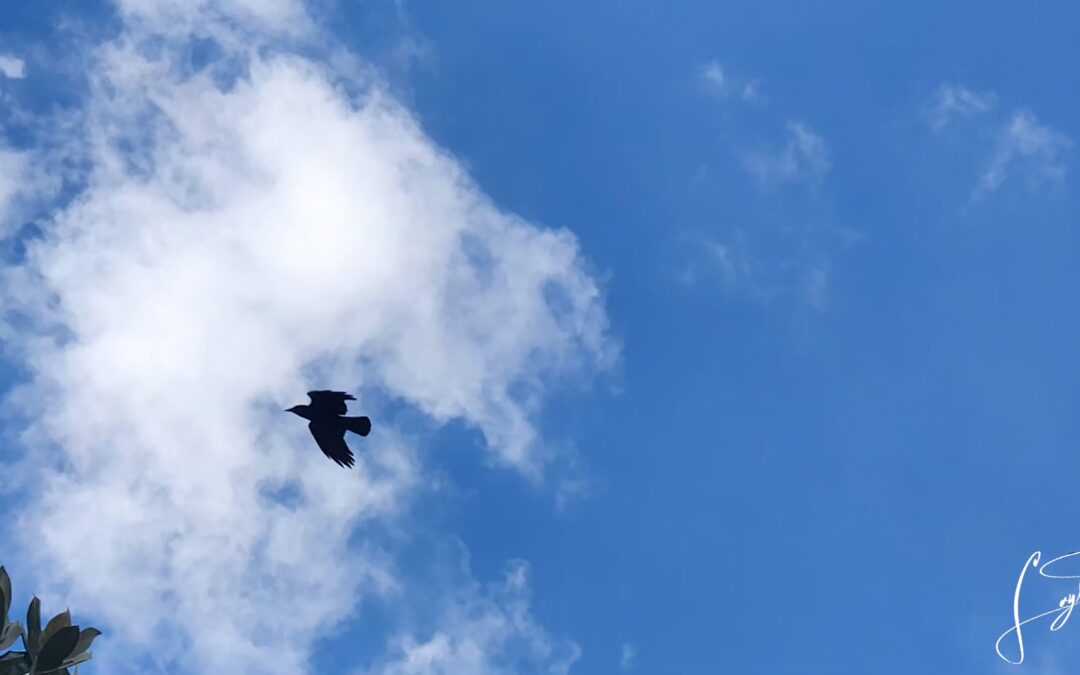 FLIGHT TO FREEDOM