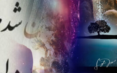 The Law of Birth and Death