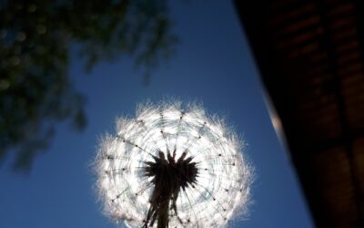 Does Appearance Matter When You Glow in the Dark? Exploring Beauty, Uniqueness, and Perceptions