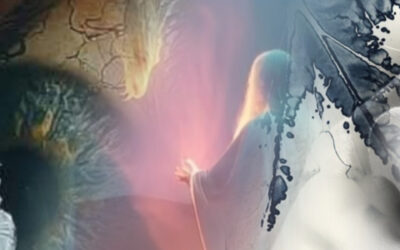 The Evolutionary Lens