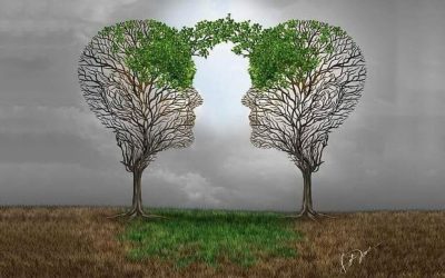 The Four Laws of Spirituality