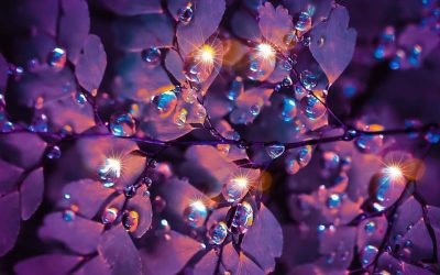 Why We Should All Stop Trying to Be Good Enough